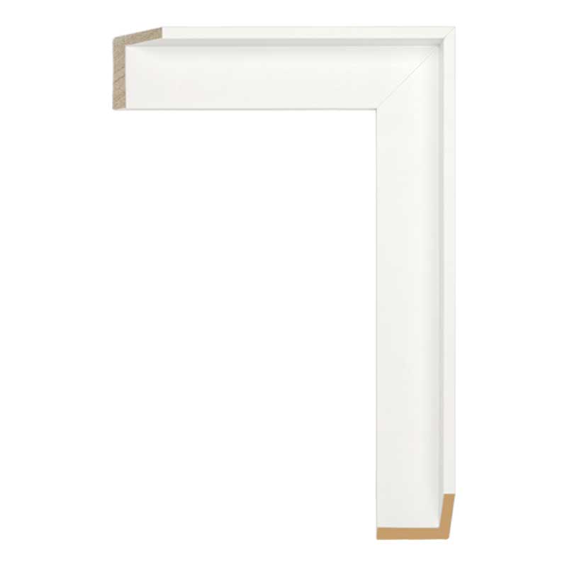 Floater White 1